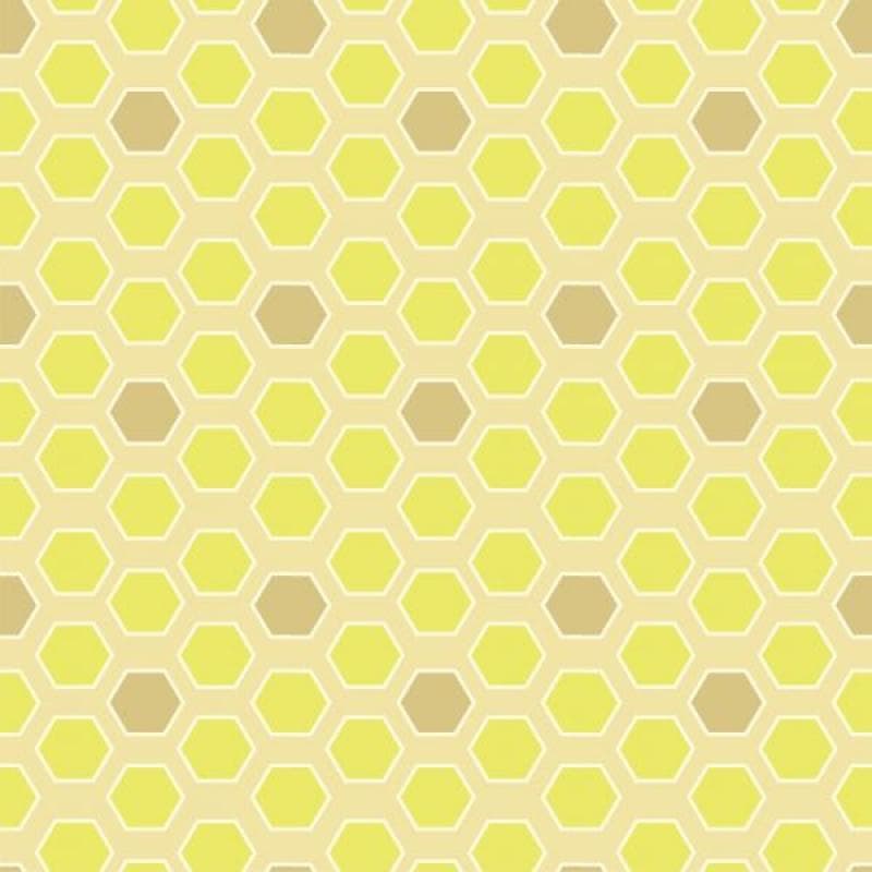 Papel de Parede Infantil Colméia