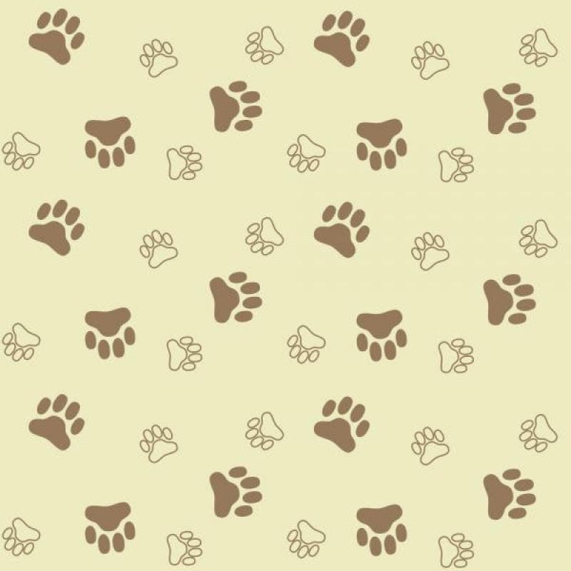 Papel de Parede Kids Patinhas Cachorro