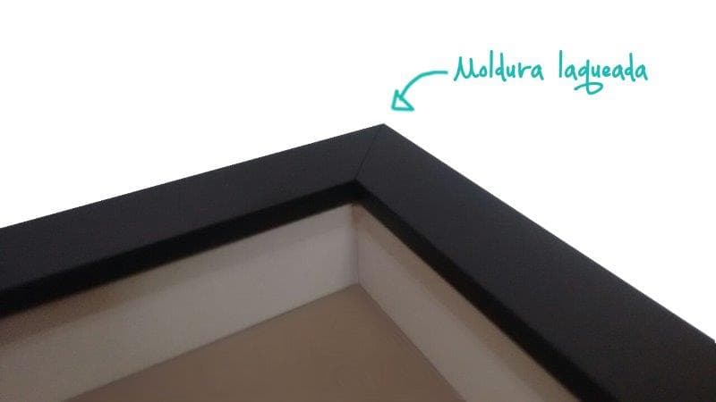 Quadro Caixa Com Led Frida Espelho