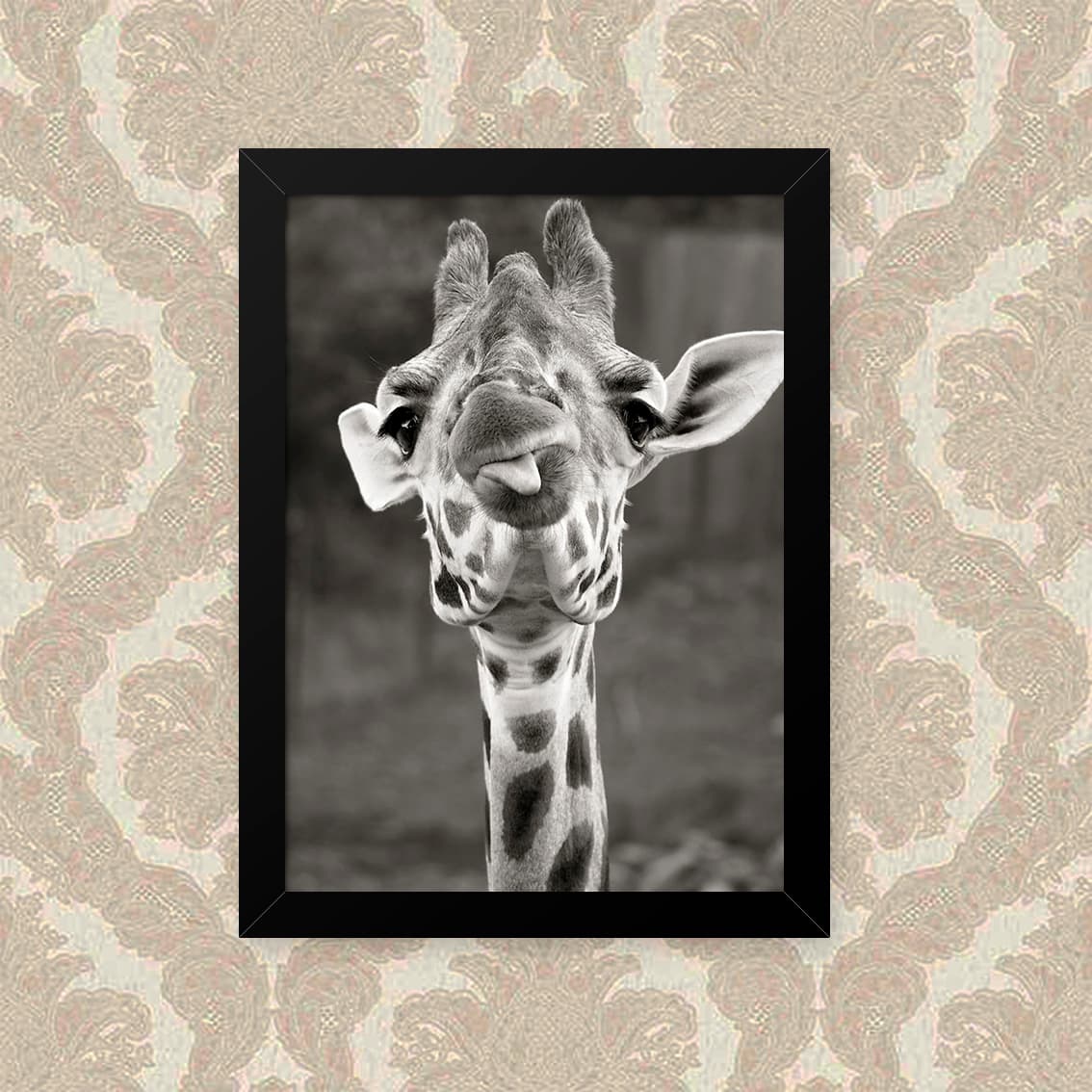 Quadro Girafa Lingua 33X43cm