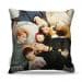 Almofada Kpop Bts Coreanos 45X45Cm