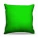 Almofada Verde Claro 40X40Cm