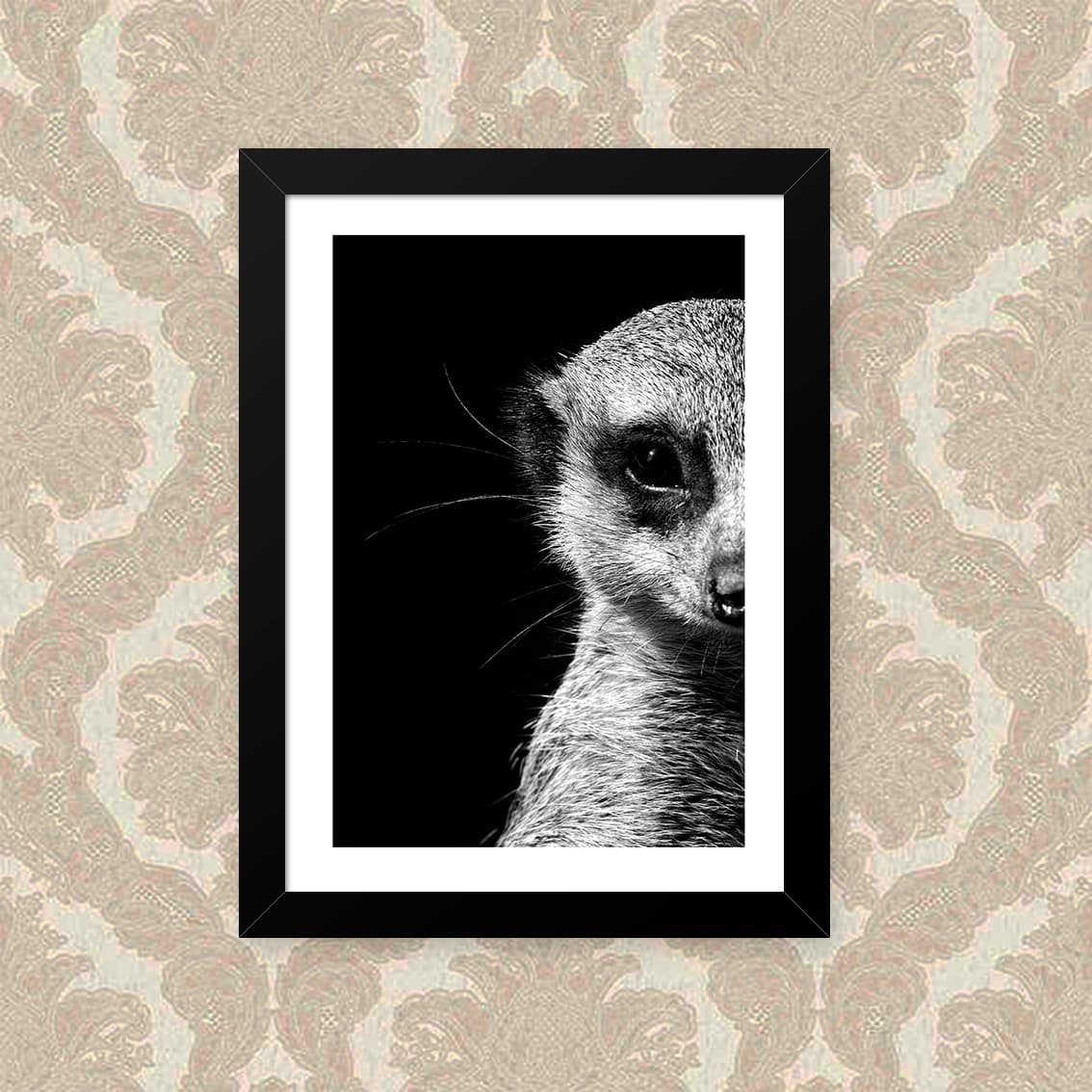 Quadro Suricate 33X43cm
