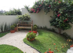 garden decorated with red flowers