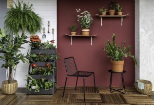 Saúde das plantas - Vasos e ferramentas