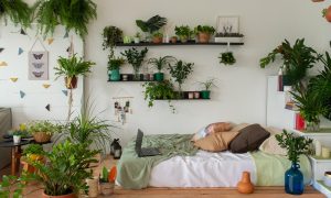 Ambiente fofo e aconchegante - quarto com plantinhas