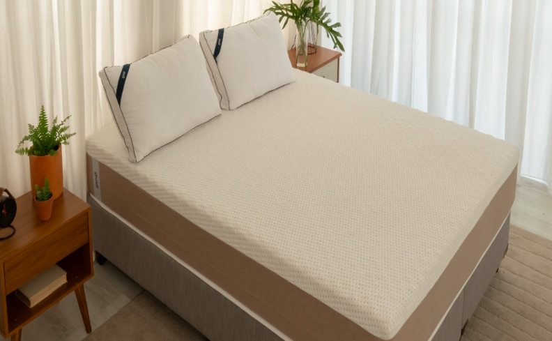 dicas de como limpar colchão manchado em um quarto com colchão, dois travesseiros e mesa de cabeceira com vaso de planta