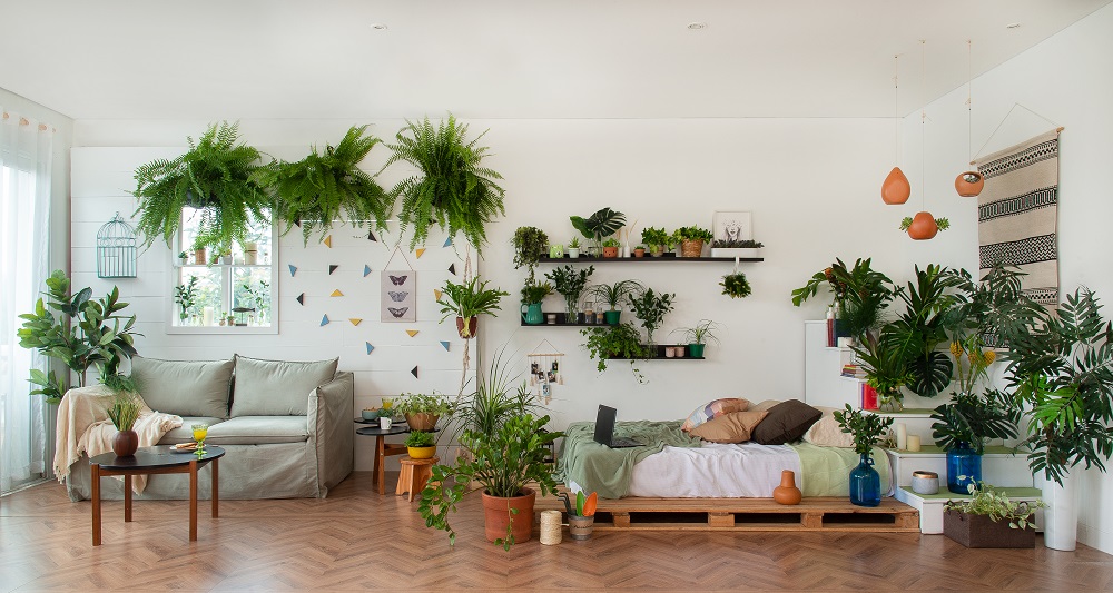 Quarto com parede branca e plantas em tons de verde