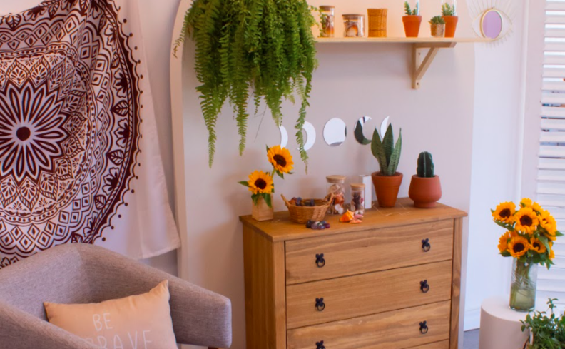 plantas que dão sorte para colocar no quarto e itens decorativos para presentear como almofadas