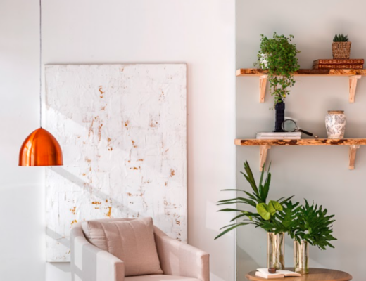 plantas para dar de presente com diversas espécies que ajudam na decoração da casa e proporcionam bem-estar