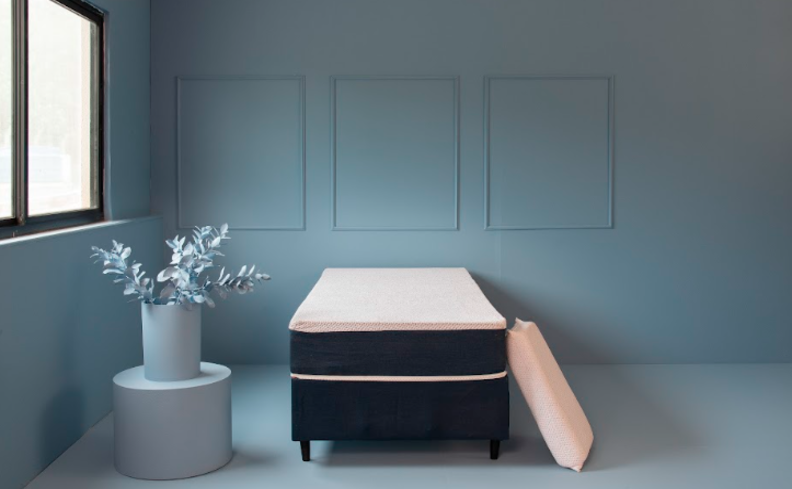 tons de azul claro na parede em um quarto com cama, mesa de cabeceira e um vaso com planta