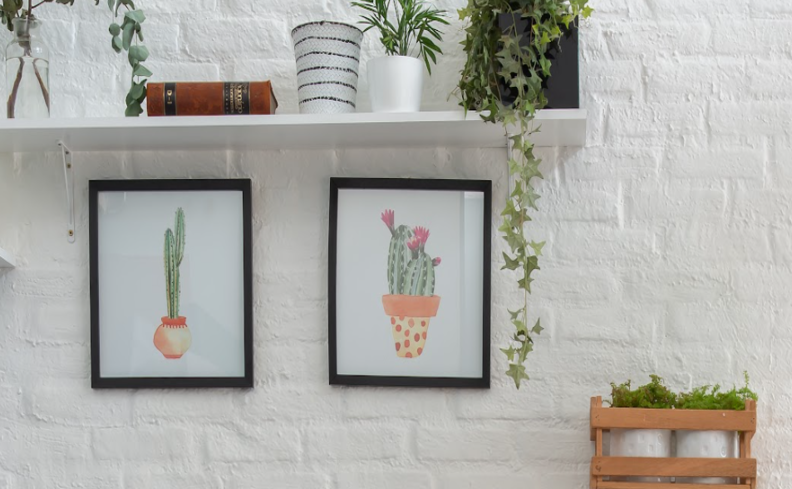 plantas para banheiro em prateleiras para decorar, além de quadros e vasos decorativos.