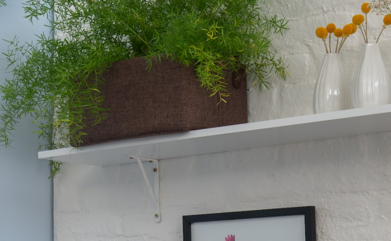 plantas para banheiros pequenos em prateleiras para complementar a decoração, além de vasos para colocar as plantas.