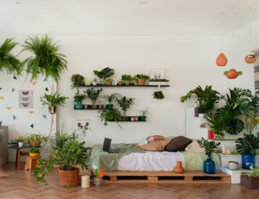 design biofílico no quarto, com cama, travesseiros, prateleiras e diversos vasos com plantas e uma iluminação para ter mais proximidade com a natureza.