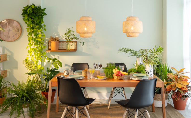iluminação natural na sala de jantar com mesas, quatro cadeiras e diversas plantas para ter um design biofílico.