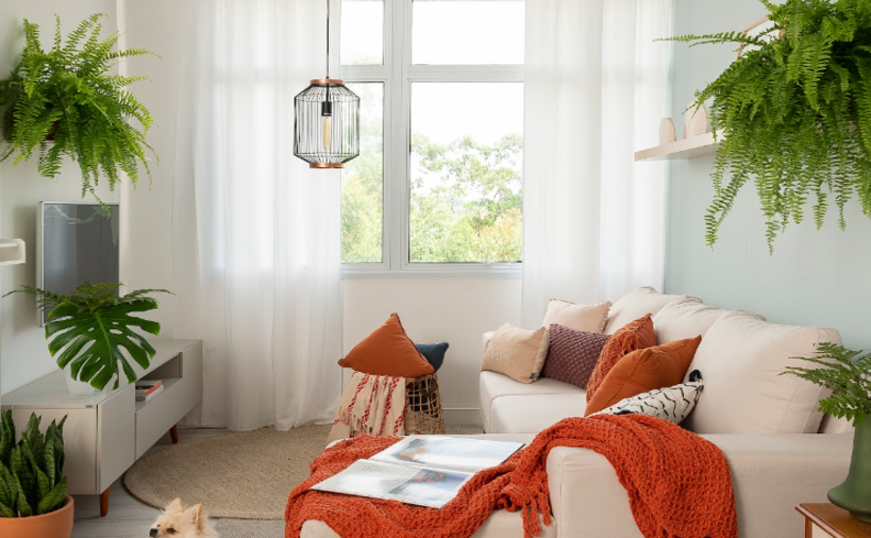 plantas na decoração da sala de estar para ter um design biofílico, além de sofá, luz natural e cortina com tecido leve.
