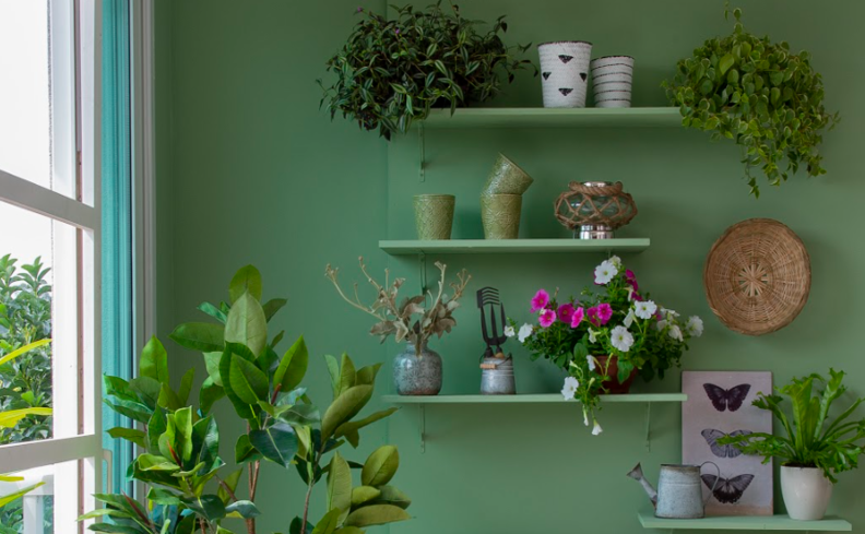 plantas para jardim vertical na sala de estar, com diversos vasos e tamanhos, com plantas que gostam de sombra e sol.